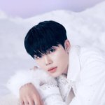 수능 안 본 아이돌들