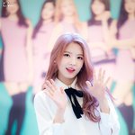 당신의 아이돌은 11월생인가요? (3)