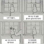 [댓글부탁해] 너넨 돈 있으면 부모 빚 갚아줄거야?