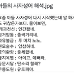 아들이 <b>사자</b>성어를 잘 배웠어..