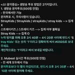 [스키즈] ‼️ 오늘 우리 축제야 ‼️