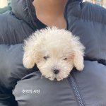 <b>은석</b> 호감인 이유