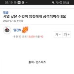 서열낮은 남자가 여자한테 공격적