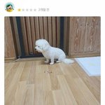 고1 2주 <b>벼락</b>치기 ㄱㄴ?