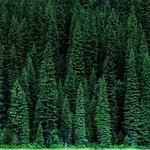 시인 김남열 / 너그러운 사람