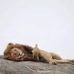 다시 <b>수험</b> 생활 시작하기전에