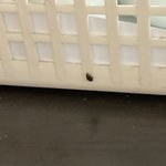 이거 빈<b>대야</b>? 아니겠지?