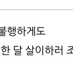 트친 <b>블로그</b> 보는데 개웃김