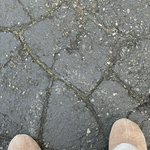 다이소 신발 개따뜻해