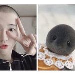 ㄹㅇ 수능 <b>만점</b>자 없나