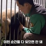 아 푸바오 영상 보다가 눈물 <b>흘림</b>