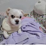 [댓글부탁해] 나 04인데 조카생김...