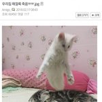 나같은사람있냐