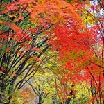 시인 김남열 / 물든 세상