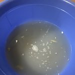 절임<b>배</b><b>추물</b> 더러운게 정상인가요?