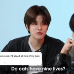 [스키즈] 내가 만약고양이라면