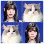 [모두드루와] 와 뉴진스 해린 <b>디올</b>공주같다