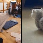 [<b>TXT</b>] 뭐가 혀니게