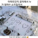 [이것좀봐줘] 아파트 단지 엄마들 <b>감동</b>중
