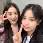 [드루와] 너네라면 둘중에 누구 얼굴로 살고싶음?