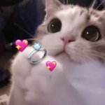 [댓글부탁해] 잠이 안<b>온다</b> 얘들아