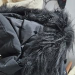 [꼭조언부탁] 궁금해서 질문드려요 ㅠㅠ