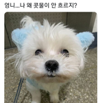 <b>콧물</b>이 안흘러