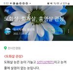 도화살<b>해석</b>