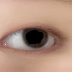 <b>무쌍</b> 쌍수