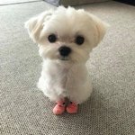 <b>Mbti</b>에서 딱 한글자만 바꿀 수 있다면