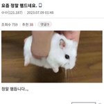 [드루와] 다이어트 3일차 식단..