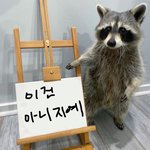 너네 친구가이러면 손절이라고생각함?
