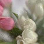 클렌징오일 <b>범벅</b>됐을때 얼굴