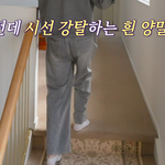 얘들아~ 미국인들도 집에서 신발 벗는다는데?