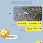 의문의 <b>번호판</b>