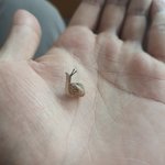 개말라 뼈말라 <b>워너</b>비인 애들한테 궁금한 거