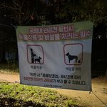 [이것좀봐줘] 7개월동안 오프리쉬 신고한 후기 (<b>feat</b>. 강서구청/경찰)