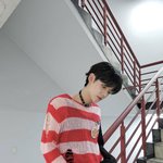 하라주쿠에 <b>계실</b>거같음