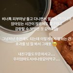 인스스 보조제 공구멘트 개웃