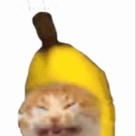 <b>네이버</b> 웹툰 추천좀
