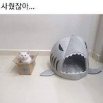 방금 유튜브로 걸그룹 서바이벌 프로그램 보고 왔는데