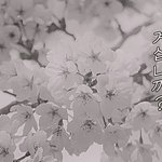 아내가 바람이 난 것 같은데 어떻게 해야할까요?