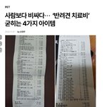 사람보다 비싸다...'반려견 치료비' 굳히는 4가지 <b>아이템</b>