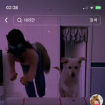 [드루와] 이런건 대체 왜하는거냐
