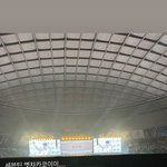 카인<b>다미</b> 대표/엘 구여친 세븐틴 일콘 갔네?