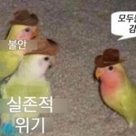 얘들아 이 문장 말 돼?