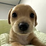 머리 잘 감는데도 <b>비듬</b>? 나오는이유 뭐임?