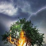 시인 김남열 / 세상을 살며