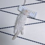 내 이름 <b>이미지</b>봐주랑