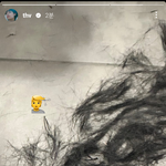 [<b>방탄소년단</b>] 머리 벌써 컷 했나봐